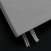 image:imageLEUCHTTURM1917 Metallic Special Edition  Medium A5 Ruled Hardcover Notebook Gold  251 Numbered PagesSilver