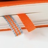 image:imageLEUCHTTURM1917  Notebook Softcover Pocket A6123 Numbered Pages for Writing and Journaling Plain Stone BlueRed